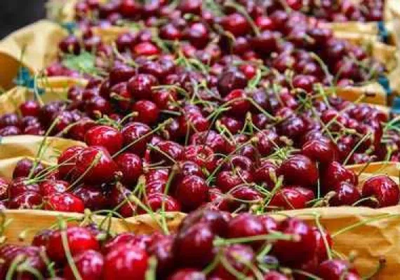 دره بازخانه بجنورد کجاست؟