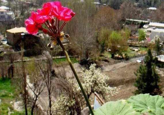 ییلاق طرقبه