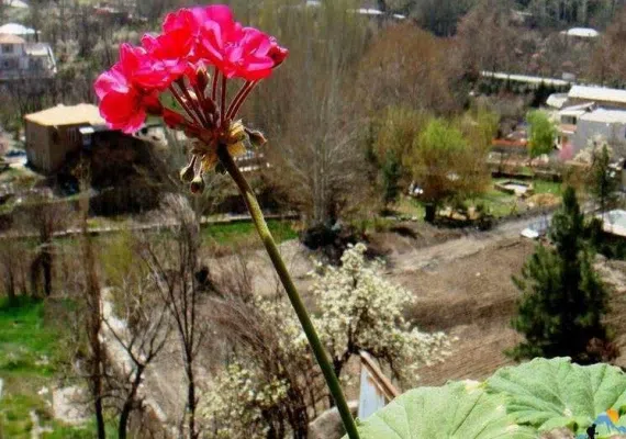 ییلاق طرقبه