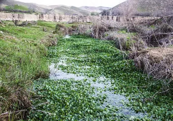روستای قازان بیک