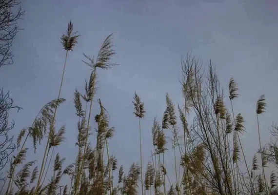 روستای قازان بیک