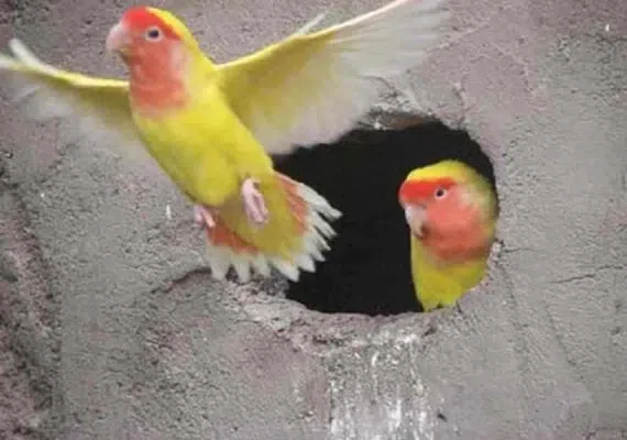 پارک ملی بجستان