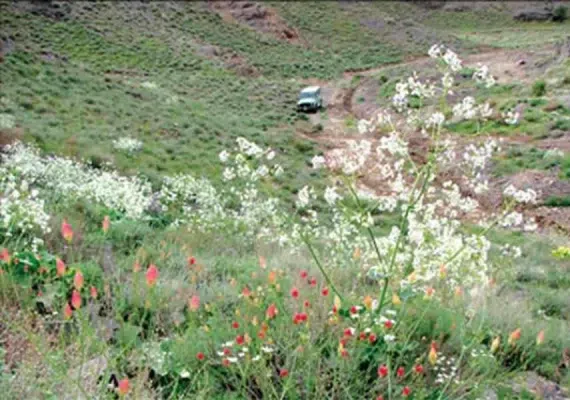 پارک ملی بجستان