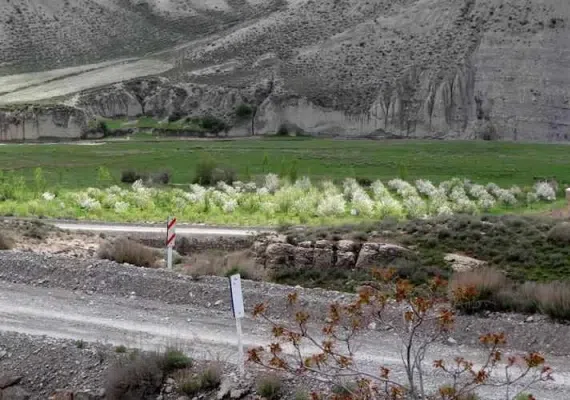 پلکان نادری