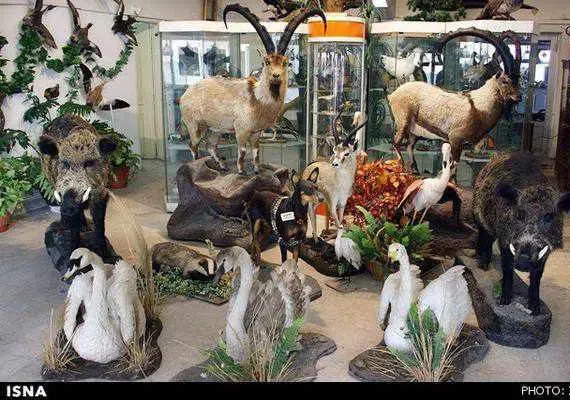 موزه محیط زیست تربت حیدریه