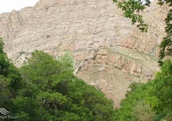 روستای اسفیدان