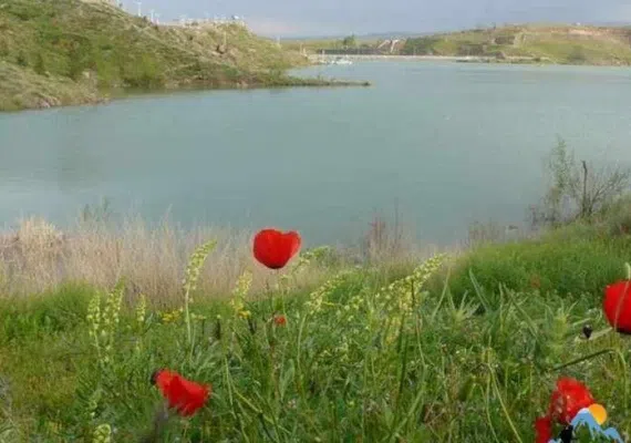 سد چالیدر