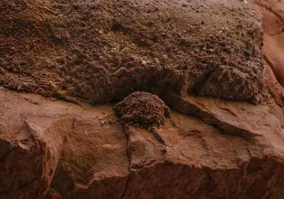 دره پرستوها نیشابور