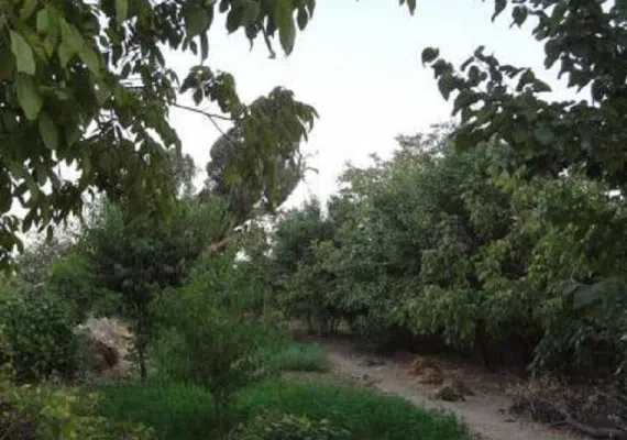 روستای اسفادنماد زیبایی شهرستان زیر کوه