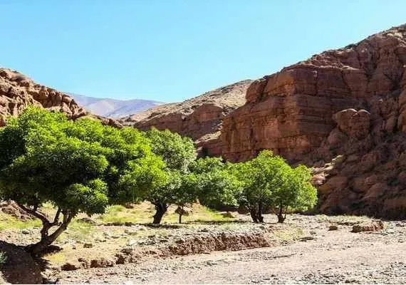 دره پرستوها نیشابور