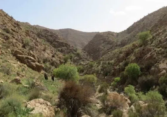 روستای ییلاقی آرک