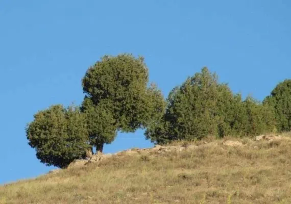 روستای تبارک