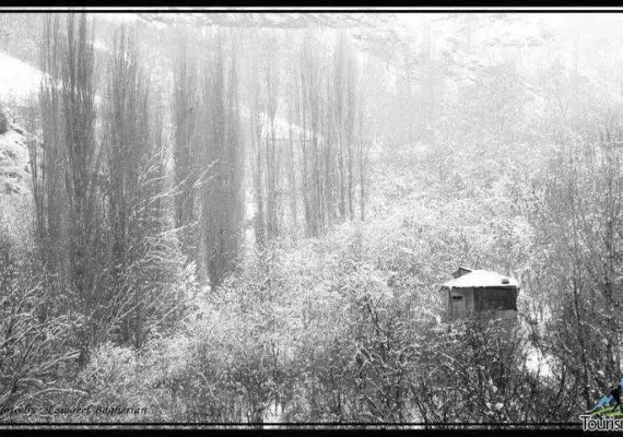 ییلاق طرقبه