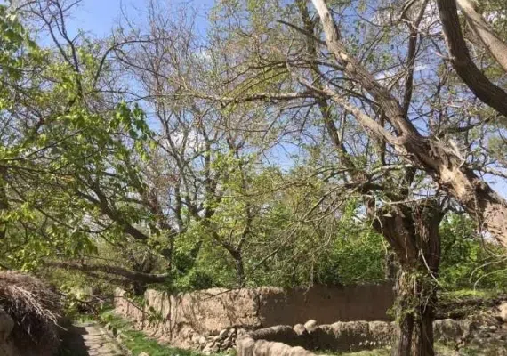 روستای نوفرست
