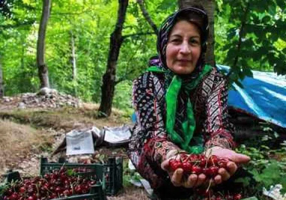 دره بازخانه بجنورد کجاست؟