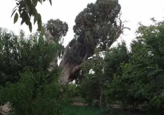 روستای اسفادنماد زیبایی شهرستان زیر کوه