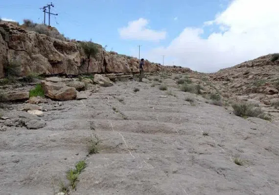 پلکان نادری