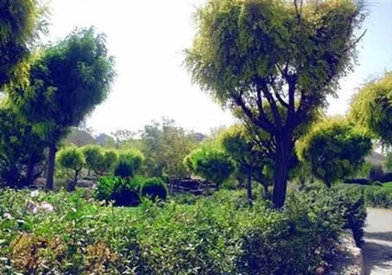 پارک کوهستانی پیشکوه