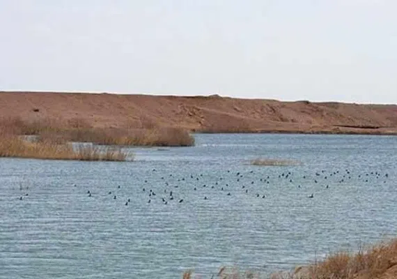 منطقه حفاظت شده سیرخون