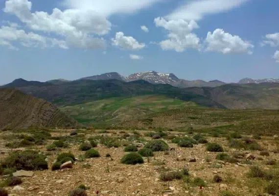 منطقه شكار ممنوع شاه جهان