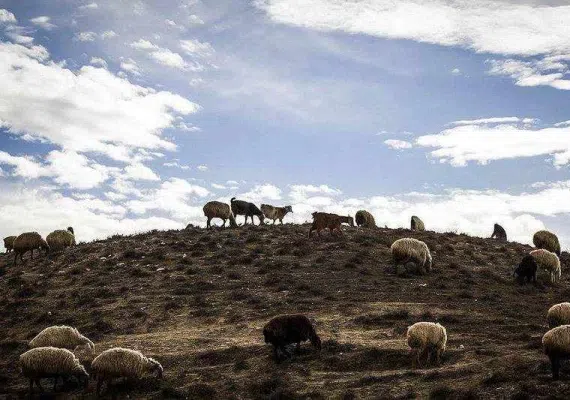 بند خاکی عبدل آباد