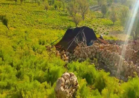 سیاه کوه هلالی