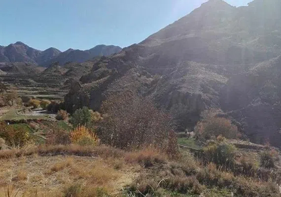 روستای ییلاقی آرک