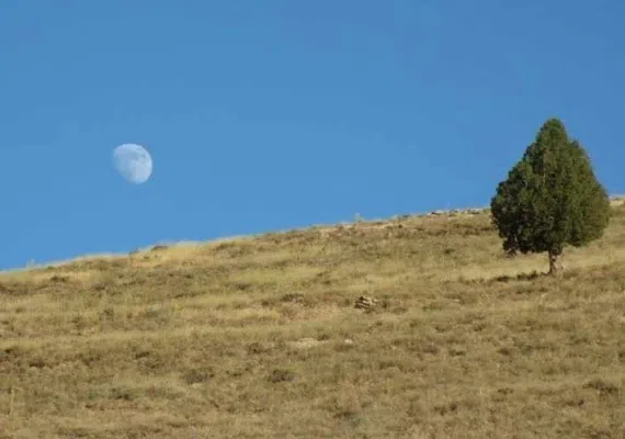 روستای تبارک