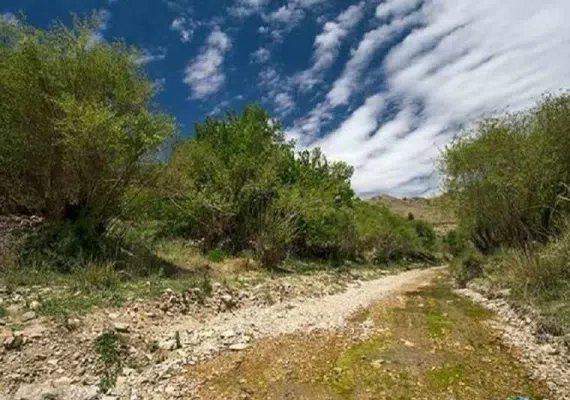 روستای ییلاقی آرک
