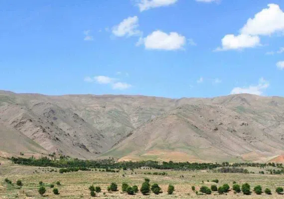 منطقه شکار ممنوع کمرسرخ، معدن داروهای گیاهی