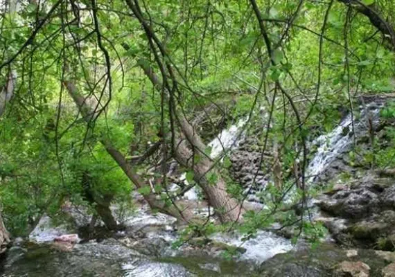 پارك چهلمیر درگز