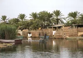 تالاب شادگان