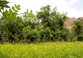 روستای درکش