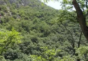 روستای درکش