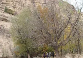 روستای خسرویه