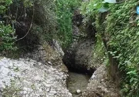 دره انار گتوند