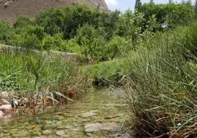 روستای خسرویه