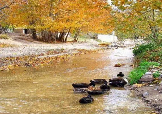 روستای فیروزه بجنورد کجاست