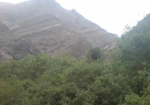 آبشار زر رود راین