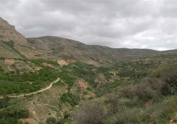 روستای رئین