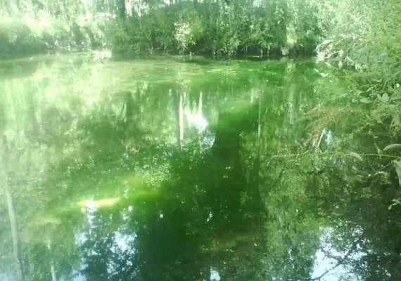 آبشار گیشیگان راین