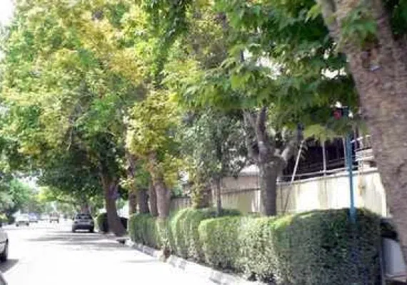 ﻣﺠﻤﻮﻋﮥ ﺳﺒﺰه ﻣﯿﺪان