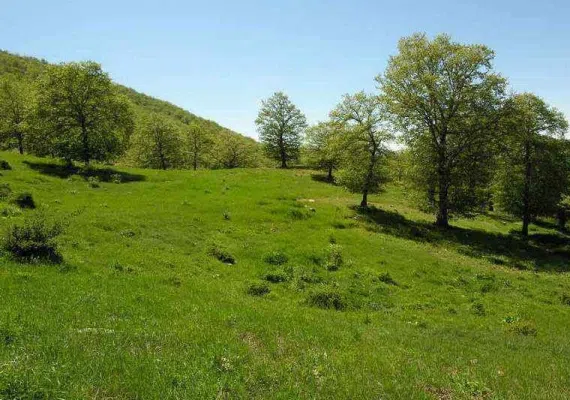 روستای درکش