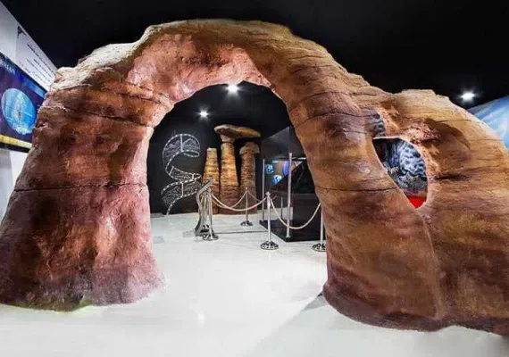 پارک علمی پروفسور بازیما