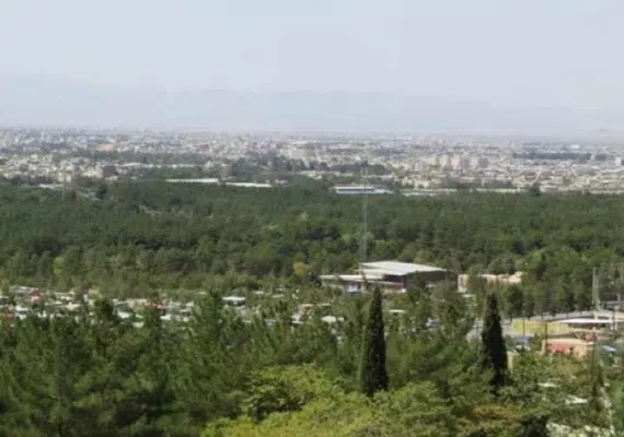 جنگل پردیسان قائم