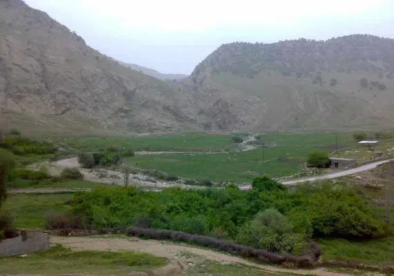 پارک جنگلی تمبی