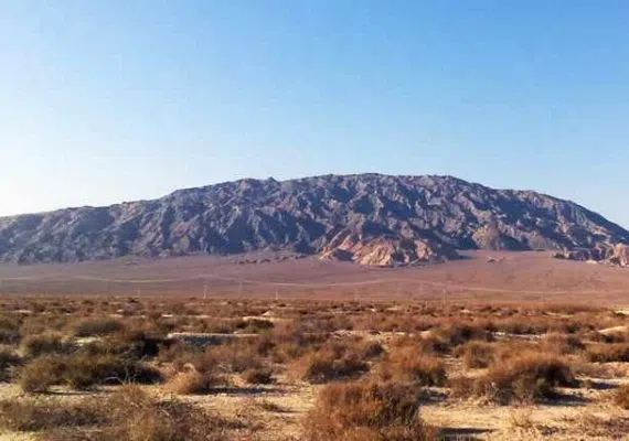 دلفینهای نمکی سمنان