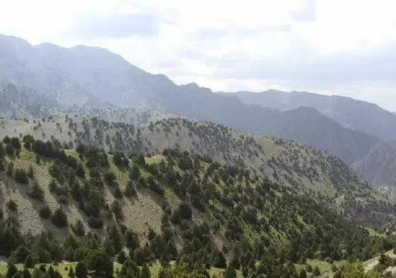 آبشار نورالی