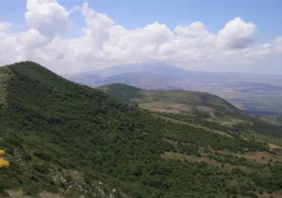 روستای رئین