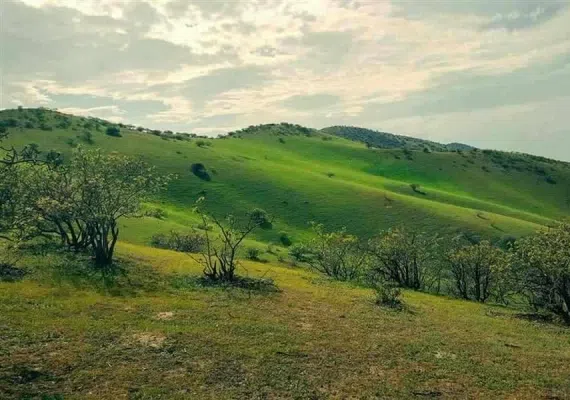 روستای چهچهه چناران مشهد